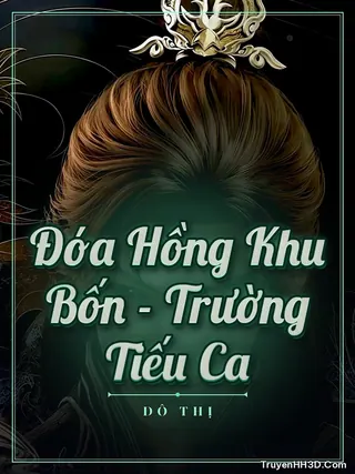 Bìa Đóa Hồng Khu Bốn - Trường Tiếu Ca