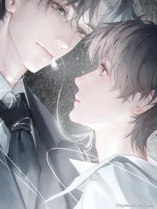 Bìa Tình Yêu Và Sự Chân Thành